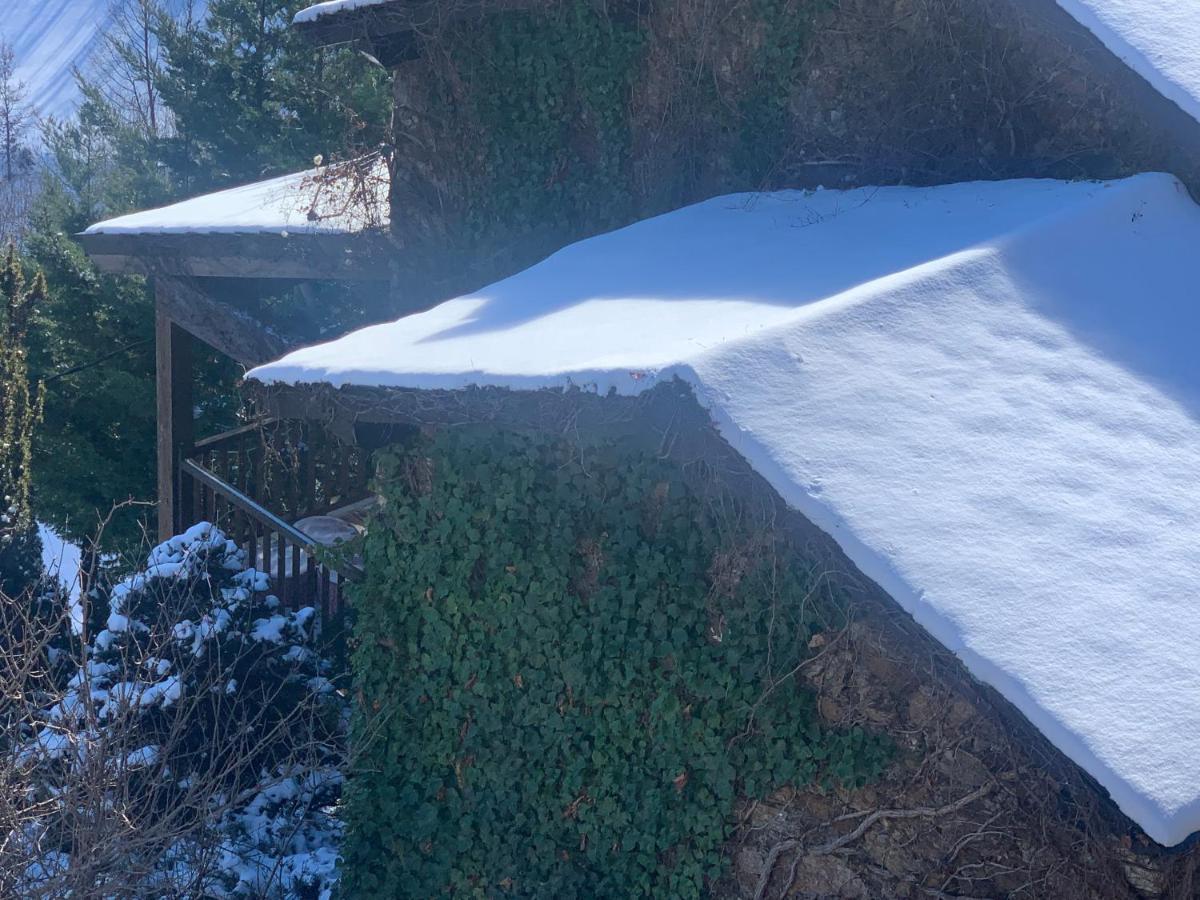 Casa Rural Pirineu Neva المظهر الخارجي الصورة