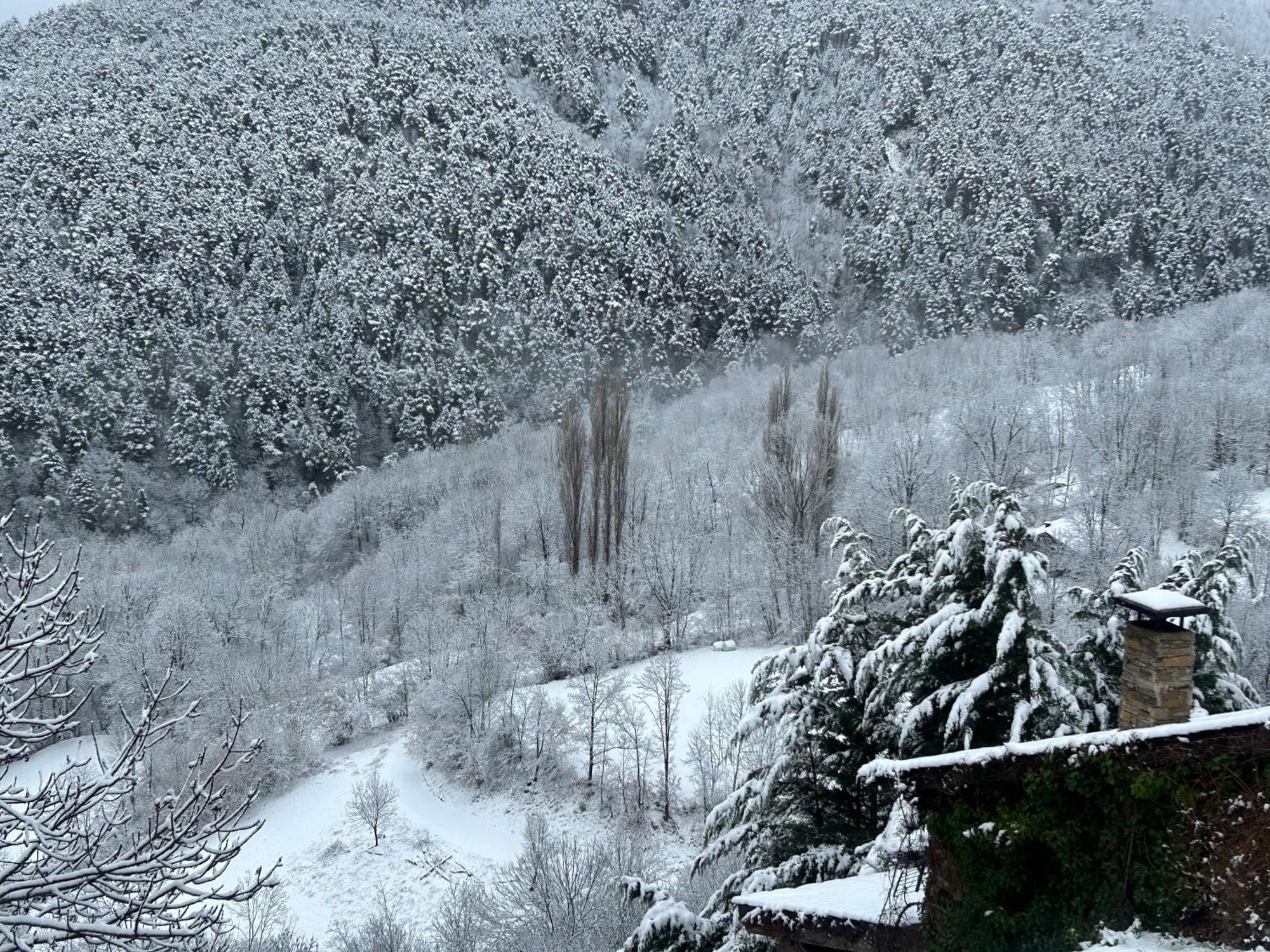 Casa Rural Pirineu Neva المظهر الخارجي الصورة